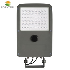 Solar LED Licht van de Vloed