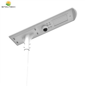 30W I-CLOUD All In One Solar Light